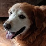 Eileen Galik Rhoads - @eirhoads - Instagram