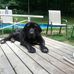 Eileen Rhoads - Facebook