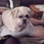 Eileen Ries - Facebook