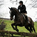Eileen Riggs - @eileenriggs36 - Instagram