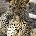Eileen Ritchie - Facebook