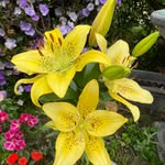 Eileen Roach - @eilets.roberts - Instagram