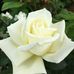 Eileen Roach - Facebook