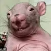 Eileen Roberts - @eileen.roberts35 - TikTok
