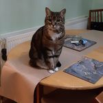 Eileen Roche - @eileenroche54er - Instagram