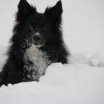 Eileen Roe Clark - @eileen5302 - Instagram