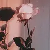 Eileen Rose - @eileenrose78 - TikTok