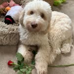 Eileen Ross - @eileenross323 - Instagram