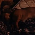 Eileen Ross Zink Mccormick - @rosszinkmccormick - Instagram