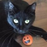 Eileen Rowan - @nocturnewolfe - Instagram