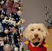 Eileen Rowe - Facebook