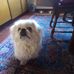 Eileen Rowe - Facebook