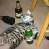 Eileen Roy - @cw12345257 - TikTok