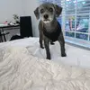 eileenroy - @eileen.jaguar - TikTok