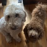 Eileen Dmytry-Rubin - @edmytry - Instagram