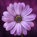 Eileen Rule - Facebook