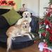 Eileen Rush - Facebook