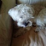 Eileen Ruth Holt - @eileenruthholt - Instagram