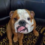 Eileen Ryder Serrano - @eileen230 - Instagram
