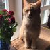 Eileen Szabo - Facebook