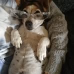 Eileen Salmon - Facebook