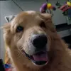 Ellie-Saltzman - @elliesaltzman - TikTok