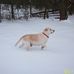 Eileen Satterfield - Facebook