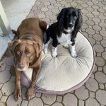 Eileen Scanlon Thompson - @eileen.s.thompson - Instagram
