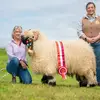 Letterbrock Flock - @eileen_scanlon_navin - TikTok