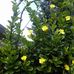 Eileen Schatz - Facebook