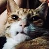 eileenschellong - @eileenschellong - TikTok