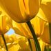 Eileen Schiller - Facebook
