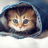 eileen_schillerakeem - @eileen_schillerak - TikTok