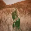 Eileen Schmidt - @eileenschmidt87 - TikTok