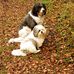 Eileen Schubert - Facebook