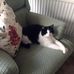 Eileen Sewell - Facebook