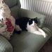 Eileen Sewell - Facebook