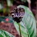Eileen Sewell - Facebook