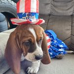 Eileen Shaffer - @sweetstuff1968 - Instagram