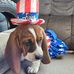 Eileen Shaffer - Facebook