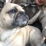 Eileen Shaffer - @eidyshaffercowgirl2007 - Instagram