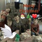 Eileen Shaffer - @shaffer343 - Instagram