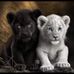Eileen Shank - Facebook
