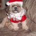 Eileen Shank - Facebook