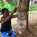 Aileen Shell Craft - Facebook