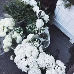 Eileen Shell - @eileenstell - Instagram