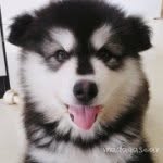 沈晓婷 - @eileen_shen113 - Instagram