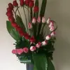 eileenesherryq - @eileenesherryq - TikTok