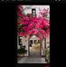 Eileen Shipley - Facebook