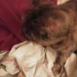Eileen Short - @eileenshort1965 - Instagram